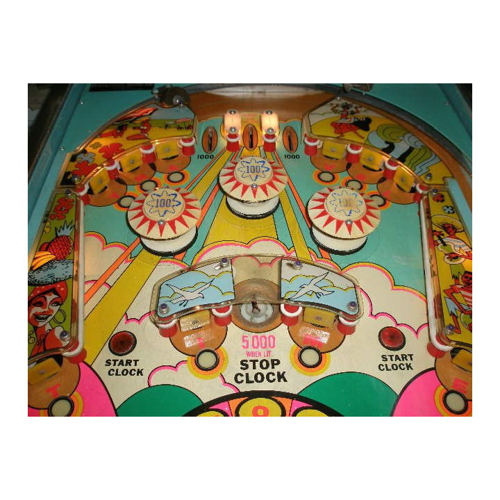 Williams Flipper williams Summer Time Williams Pinball Condizione: visto e piaciuto 5 Summer Time Williams Pinball Summer Time p