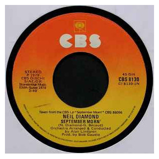 Italiano (Italian) [product.brand]2836449-2024-01-27-16-14-32 1 Pop 1 Shop I'm Jukebox iamjukebox.it 