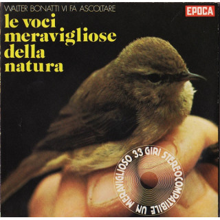 Italiano (Italian) [product.brand]3570626-2024-02-06-23-41-00 1 Vendita Vinili [product.weight]1 Shop I'm Jukebox iamjukebox.it