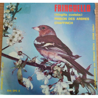 Italiano (Italian) [product.brand]7536941-2024-04-10-07-26-41 1 Vendita Vinili [product.weight]1 Shop I'm Jukebox iamjukebox.it