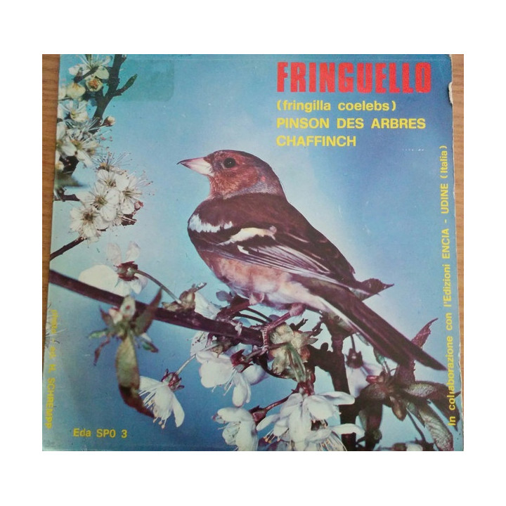 Italiano (Italian) [product.brand]7536941-2024-04-10-07-26-41 1 Vendita Vinili [product.weight]1 Shop I'm Jukebox iamjukebox.it