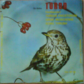 Italiano (Italian) [product.brand]6261129-2024-07-05-06-27-58 1 Non-Music 1 Shop I'm Jukebox iamjukebox.it 