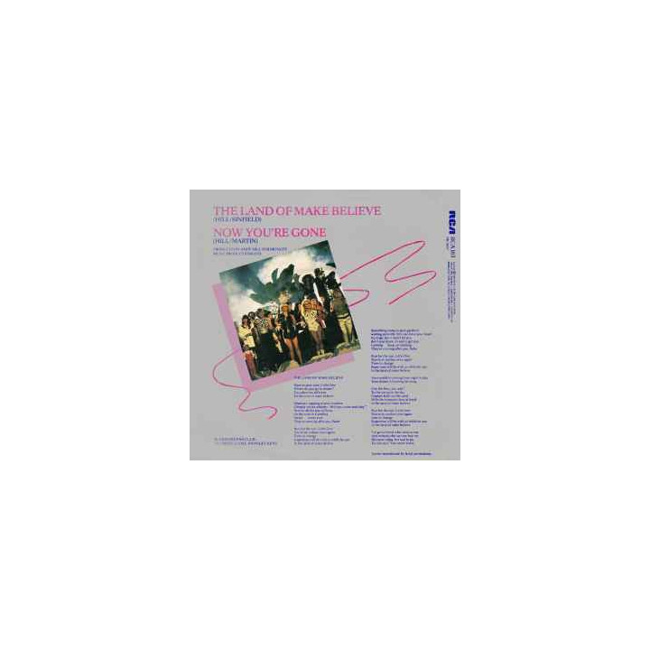 Italiano (Italian) [product.brand]1075771-2024-07-01-09-32-21 2 Pop 2 Shop I'm Jukebox iamjukebox.it 