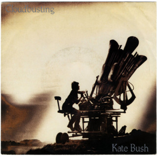 Italiano (Italian) [product.brand]505023-2023-03-19-13-02-54 1 Electronic [product.weight]1 Shop I'm Jukebox iamjukebox.it [ship