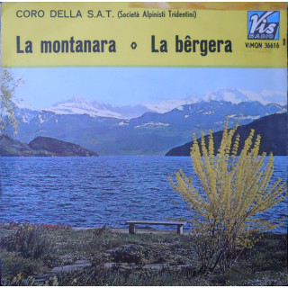 Italiano (Italian) [product.brand]7432468-2024-07-08-15-14-08 1 Folk, World, & Country 1 Shop I'm Jukebox iamjukebox.it 