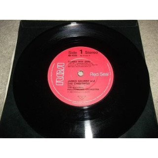 Italiano (Italian) [product.brand]5395120-2023-03-29-10-27-48 1 Vendita Vinili [product.weight]1 Shop I'm Jukebox iamjukebox.it