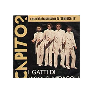 Italiano (Italian) [product.brand]I GATTI DI VICOLO MIRACOLI ‎– CAPITO? 1 Vendita Vinili [product.weight]1 Shop I'm Jukebox iamj