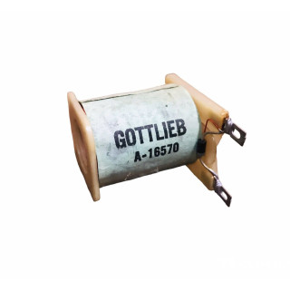 Gottlieb Solinoidi Bobina A-16570 Condizione: Ricondizionato 1 Bobina A-16570 A-16570 Bobina solenoide con diodo tipicamente uti