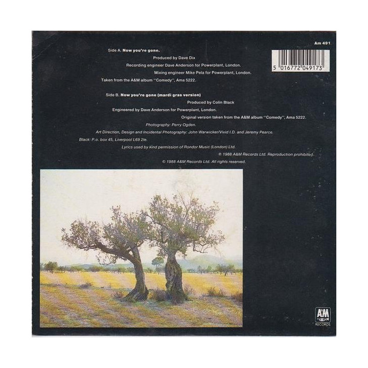 Italiano (Italian) [product.brand]2079065-2023-03-10-23-53-09 2 Electronic 2 Shop I'm Jukebox iamjukebox.it 